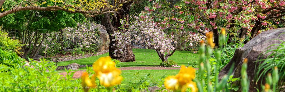 Peter Bellingham Photography Japanese Garden - Cowra